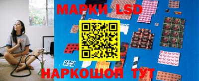 стаф Донецк