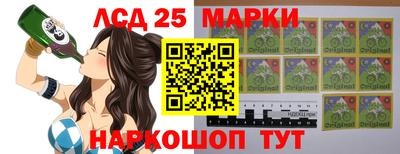 стаф Донецк