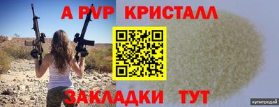 стаф Донецк